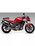 Silencieux sport Dominator : V Raptor 1000 2000 - 2003