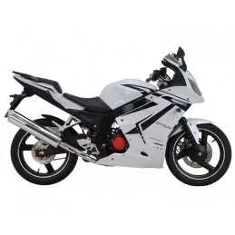 Silencieux sport Dominator : Roadsport / Roadtwin R 125 2010 - 2016