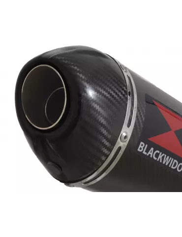 CBR650R 2019-2020 Ligne complète Collecteur/Decatalyseur/Silencieux Carbone Ovale 300mm