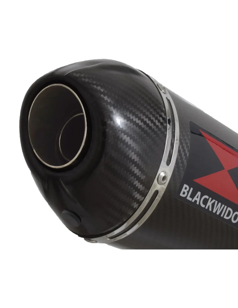 CBR650R 2019-2020 Ligne complète Collecteur/Decatalyseur/Silencieux Carbone Ovale 300mm