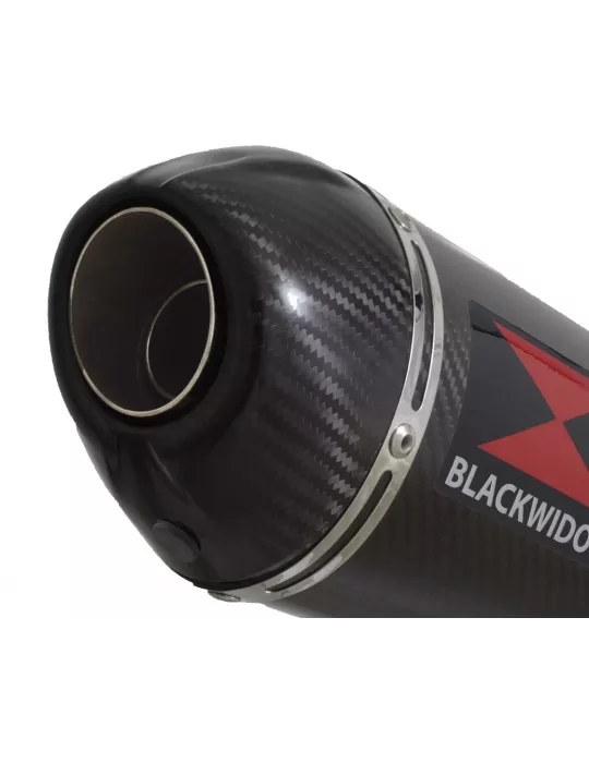 CBR650R 2019-2020 Ligne complète Collecteur/Decatalyseur/Silencieux Carbone Ovale 300mm