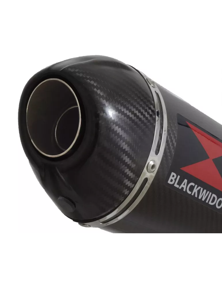 CBR650R 2019-2020 Ligne complète Collecteur/Decatalyseur/Silencieux Carbone Ovale 300mm