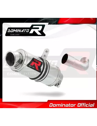 Silencieux sport Dominator : Duke 125 