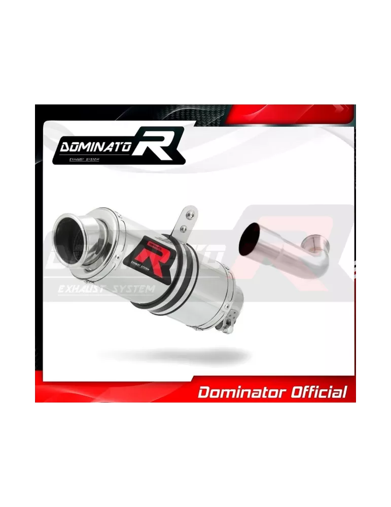 Silencieux sport Dominator : Duke 125 