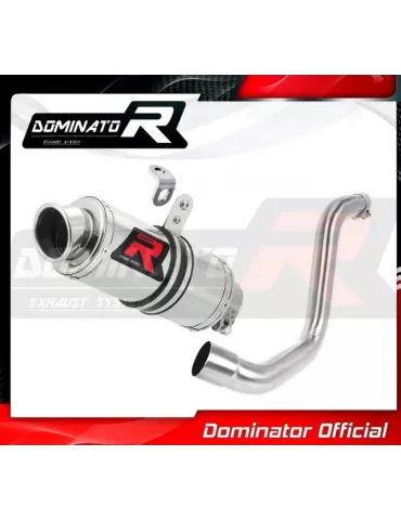 Silencieux sport Dominator : Duke 125 2012 - 2016