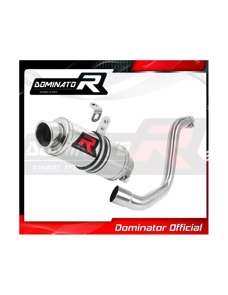 Silencieux sport Dominator : Duke 125 2012 - 2016