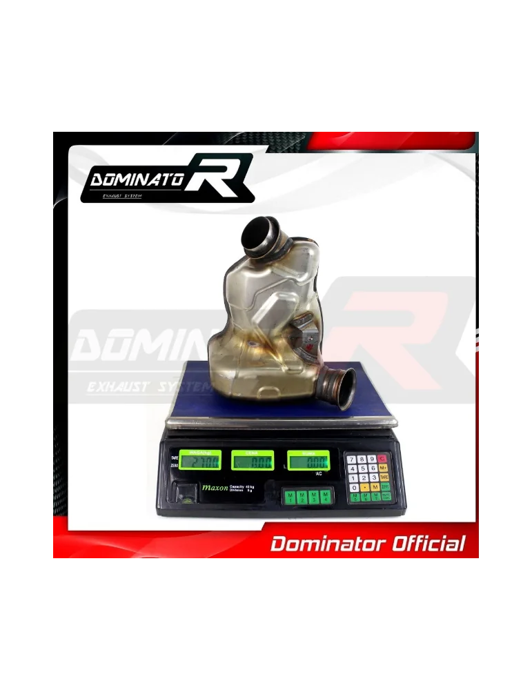 Décatalyseur / Décat sport Dominator : 790 Duke Standard / R 2018 - 2020