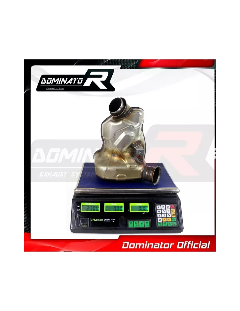 Décatalyseur / Décat sport Dominator : 790 Duke Standard / R 2018 - 2020