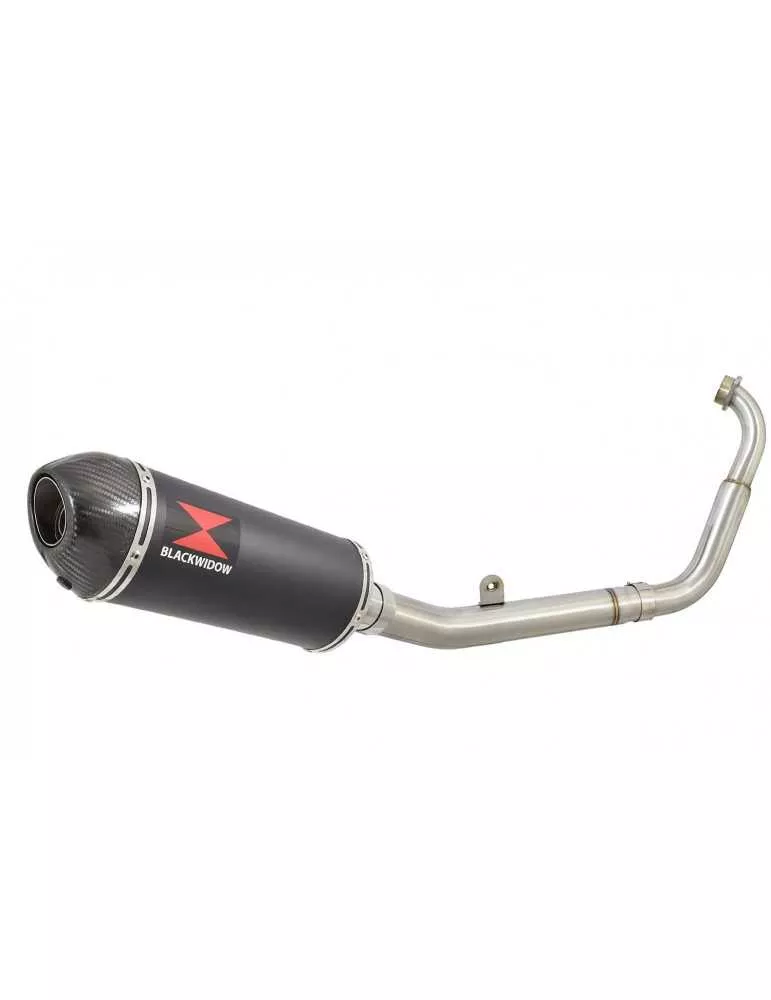 YZF-R 125 2019-2020  Ligne complète & Silencieux Ovale Noir En Inox + Canule En Carbone 300mm