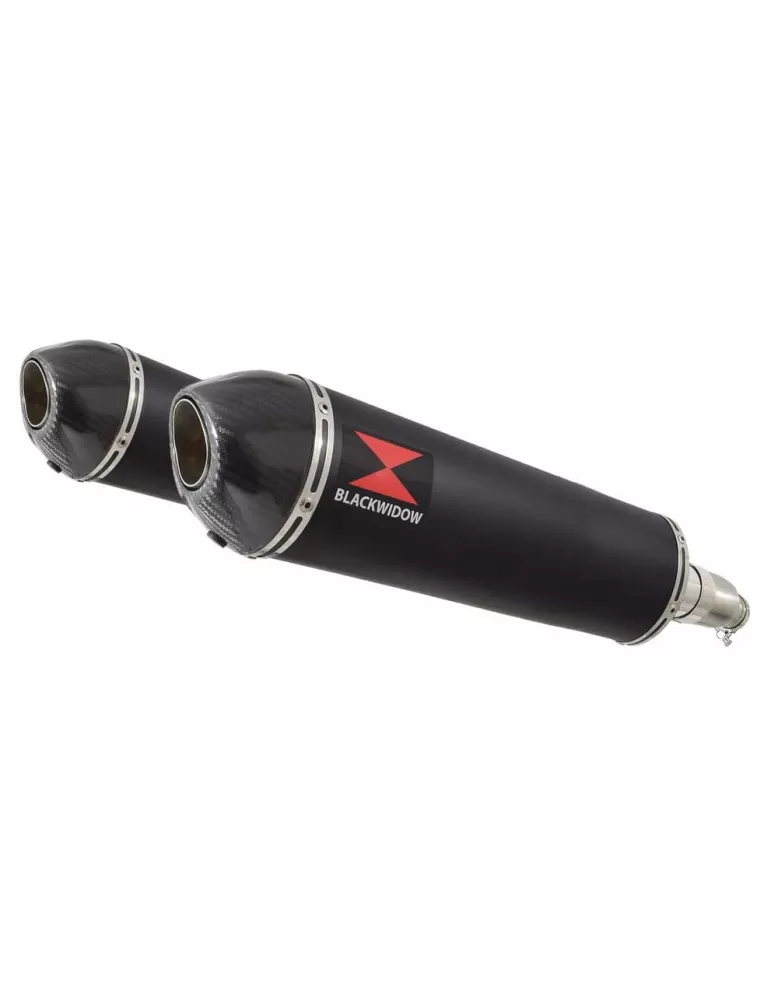 XJR1300 XJR 1300 1998 - 2006 4-2 Silencieux Kit & Silencieux Ovale Noir En Inox & Canule en Carbone 