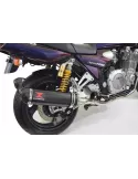 XJR1300 XJR 1300 1998 - 2006 4-2 Silencieux Kit & Silencieux Ovale Noir En Inox & Canule en Carbone 