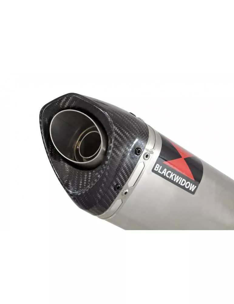  Tri Ovale En Inox Silencieux & En Carbone Tip 250mm