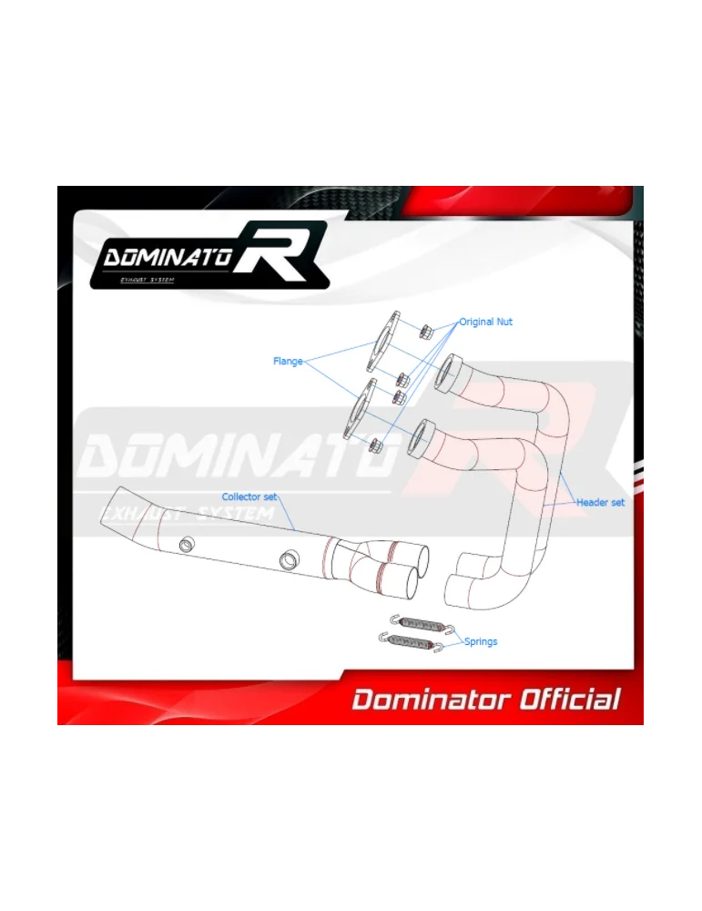 Collecteur et DécatalyseurDominator : F 900 R / XR 2020 - 2021