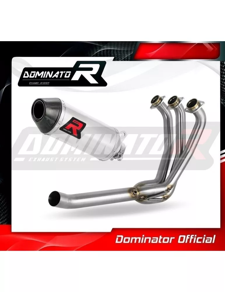 Silencieux + Décatalyseur sport Dominator : MT 09 2021 - 2023