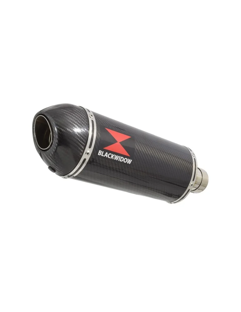 CRF1100 Africa Twin  tube de raccord & Silencieux Ovale En Carbone / Carbone 2020-2023