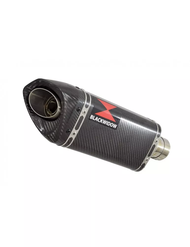 GSX-S 1000 & GT 2021-2023 Silencieux Tri Ovale En Carbone 250mm