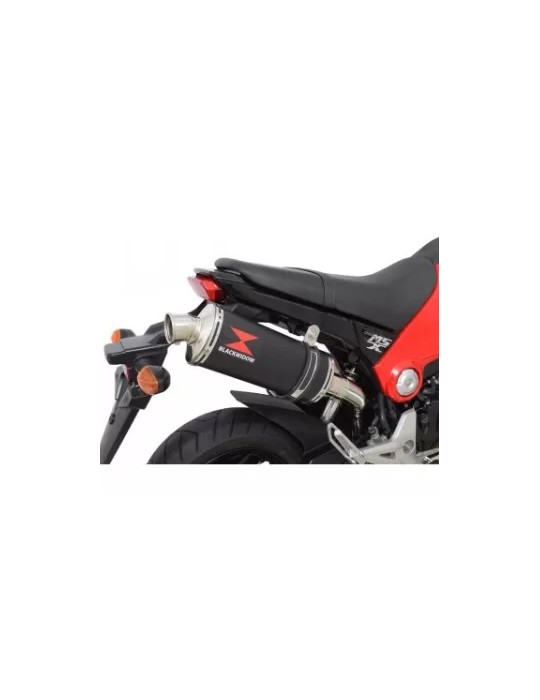 MSX 125 GROM 1-1 Exhaust System with 300mm Oval Black Painted Stainless Steel Silencer + Carbon Fibre Tip