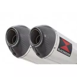 Suzuki DL1000 V-Strom 1000 Silencieux Kit / Silencieux Ovale En Inox & Canule en Carbone 300mm