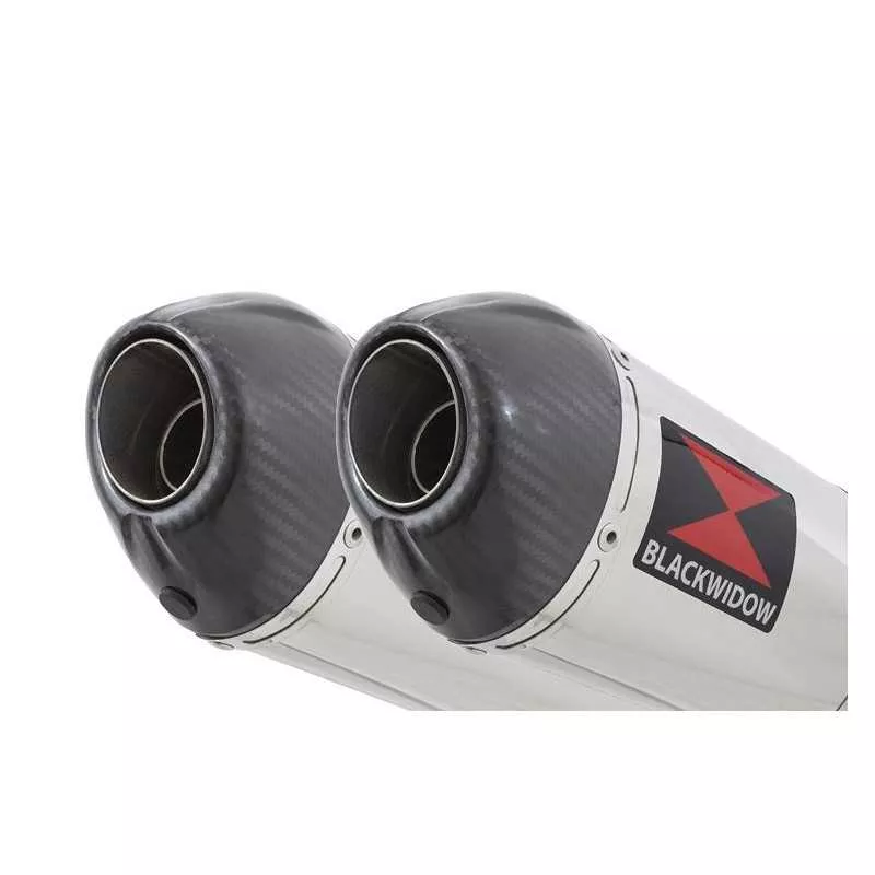 Suzuki DL1000 V-Strom 1000 Silencieux Kit / Silencieux Ovale En Inox & Canule en Carbone 300mm