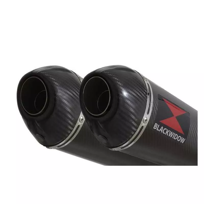 Suzuki DL1000 V-Strom 1000 Silencieux Kit / Silencieux Ovale En Carbone & Canule en Carbone 300mm