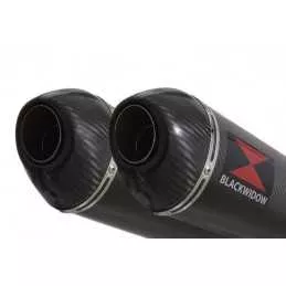Suzuki DL1000 V-Strom 1000 Silencieux Kit / Silencieux Ovale En Carbone & Canule en Carbone 400mm