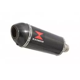 Suzuki RV 125 / RV 250 VAN VAN 2003 - 2018 Ligne complète & Silencieux Ovale En Carbone 300mm