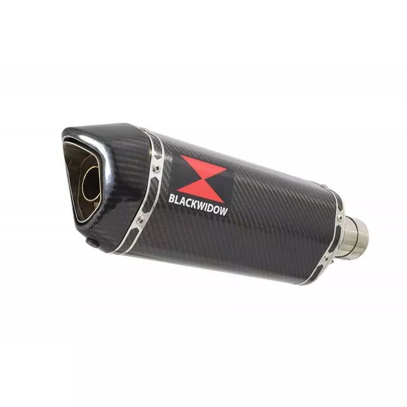 Suzuki RV 125 / RV 250 VAN VAN 2003 - 2018 Ligne complète & Silencieux Hexagonale En Carbone 300mm