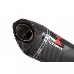 Suzuki RV 125 / RV 250 VAN VAN 2003 - 2018  Ligne complète & Silencieux Tri Ovale En Carbone 250mm