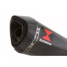 Honda NC 700 750 Integra 700 750 Tube de raccord + Silencieux Hexagonale Carbone 300mm
