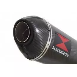 Honda NC 700 750 Integra 700 750 Tube de raccord + Silencieux Ovale En Carbone + Carbone Tip 400mm