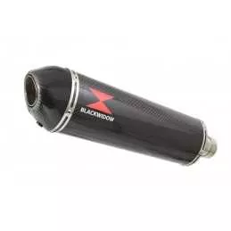 YBR 125 2005 - 2017 Ligne complète & Silencieux Ovale En Carbone 400mm