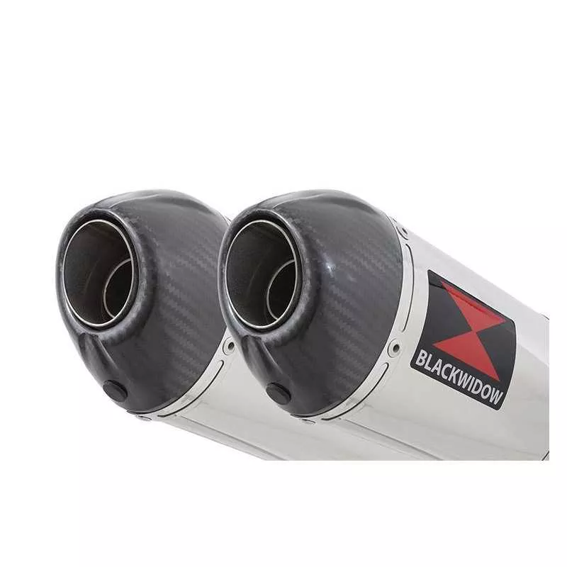 GL1500 GL 1500 GOLDWING Kit & Silencieux Ovale En Inox + Carbone Tip 400mm