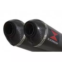 GL1500 GL 1500 GOLDWING Kit & Silencieux Ovale En Carbone + Carbone Tip 400mm