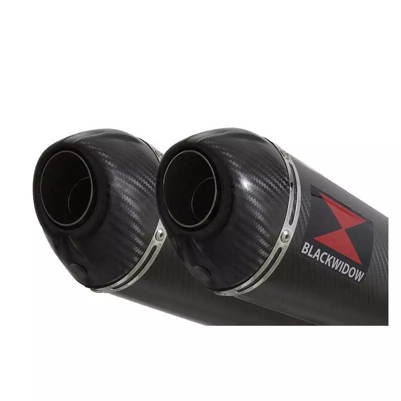 GL1500 GL 1500 GOLDWING Kit & Silencieux Ovale En Carbone + Carbone Tip 400mm