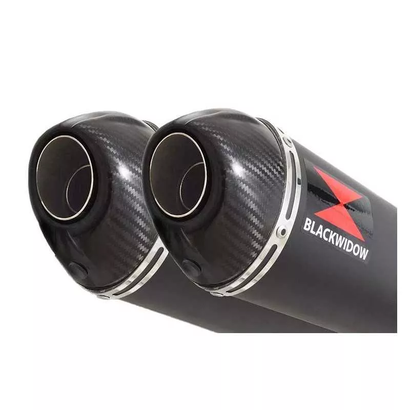 Suzuki DL1000 V-Strom 1000 Silencieux Kit / Silencieux Ovale Noir En Inox + Canule en Carbone 400mm