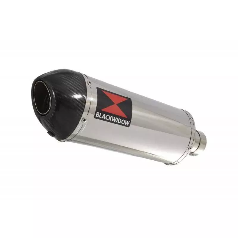 Suzuki RV 125 / RV 250 VAN VAN 2003 - 2018  Silencieux Ovale En Inox & Canule en Carbone 300mm