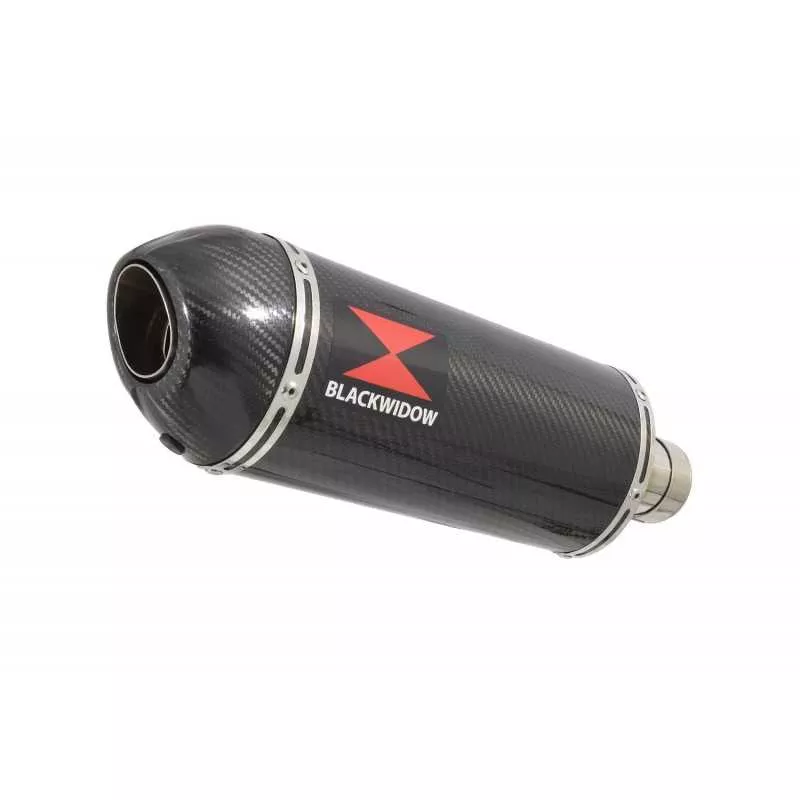 Suzuki RV 125 / RV 250 VAN VAN 2003 - 2018  Silencieux Ovale En Carbone 300mm