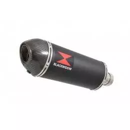 Suzuki RV 125 / RV 250 VAN VAN 2003 - 2018 Silencieux Ovale Noir en Inox & Canule en Carbone 300mm