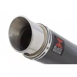 YBR 125 2005 - 2017 Ligne complète & Silencieux Rond GP Style en Carbone 230mm