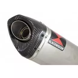 YZF R3 YZF R25 2015 - 2017 Decata Ligne complète + Silencieux Tri Ovale en Inox + Canule en Carbone 250mm