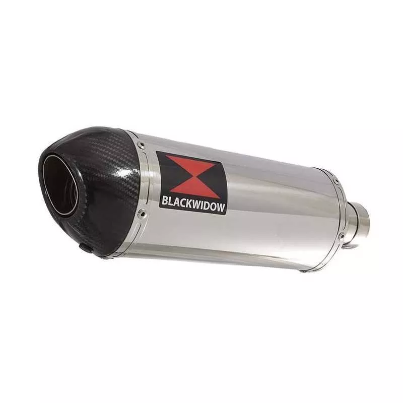 HONDA NT650 NT 650 DEAUVILLE Tube de raccord et Silencieux Ovale En Inox + Carbone Tip 300mm