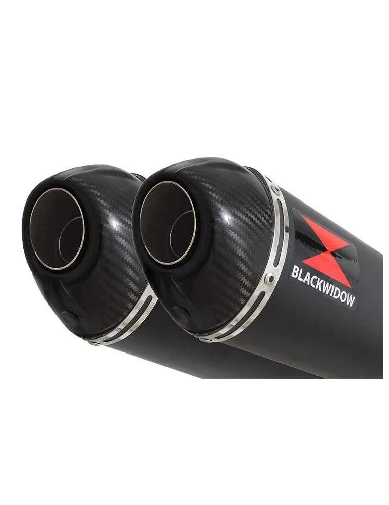 GL1500 GL 1500 GOLDWING Kit / Silencieux Ovale Noir En Inox & Canule en Carbone 300mm