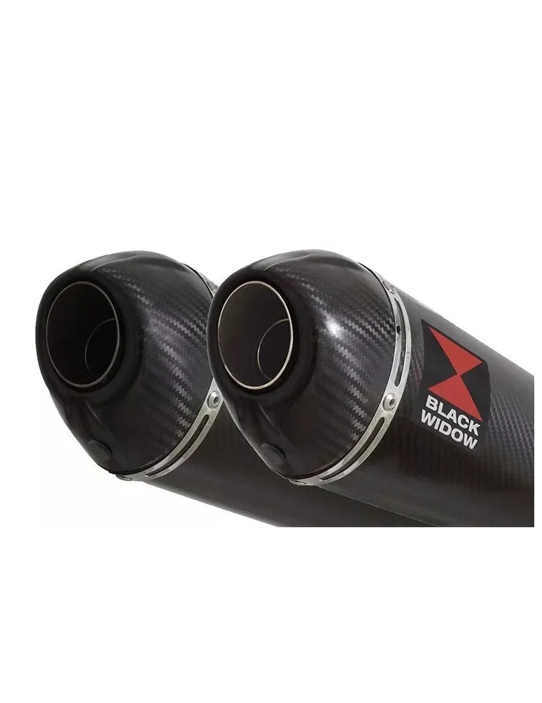 GL1500 GL 1500 GOLDWING Kit / Silencieux Ovale En Carbone + Carbone Tip 200mm