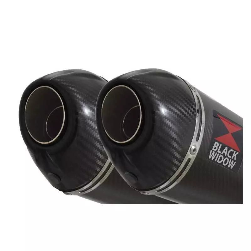 Suzuki DL1000 V-Strom 1000 Silencieux Kit / Silencieux Ovale En Carbone & Canule en Carbone 200mm