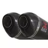 Suzuki DL1000 V-Strom 1000 Silencieux Kit / Silencieux Ovale En Carbone & Canule en Carbone 200mm