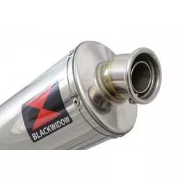 R850GS exhaust Silencieux kit & Ovale Silencieux En Inox 400mm