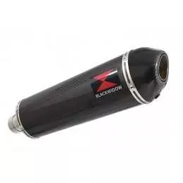 R850GS exhaust tube de raccord et Ovale En Carbone Silencieux + carbon tip 400mm