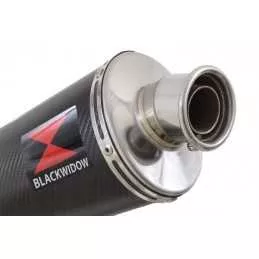 R850GS exhaust tube de raccord et Ovale En Carbone Silencieux 400mm