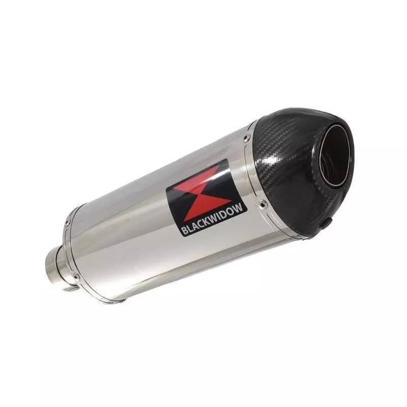 R850GS exhaust tube de raccord et Ovale Silencieux En Inox + carbon tip 300mm
