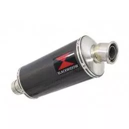 R850GS exhaust tube de raccord et Ovale En Carbone Silencieux 300mm